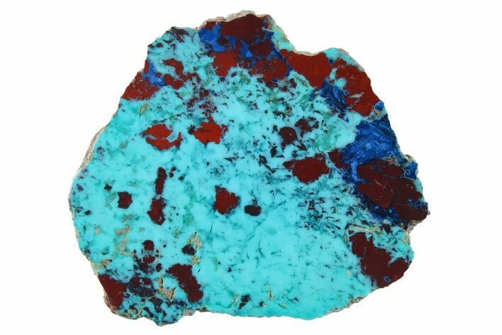 Colorful Chrysocolla and Shattuckite Slab - Mexico #260677
